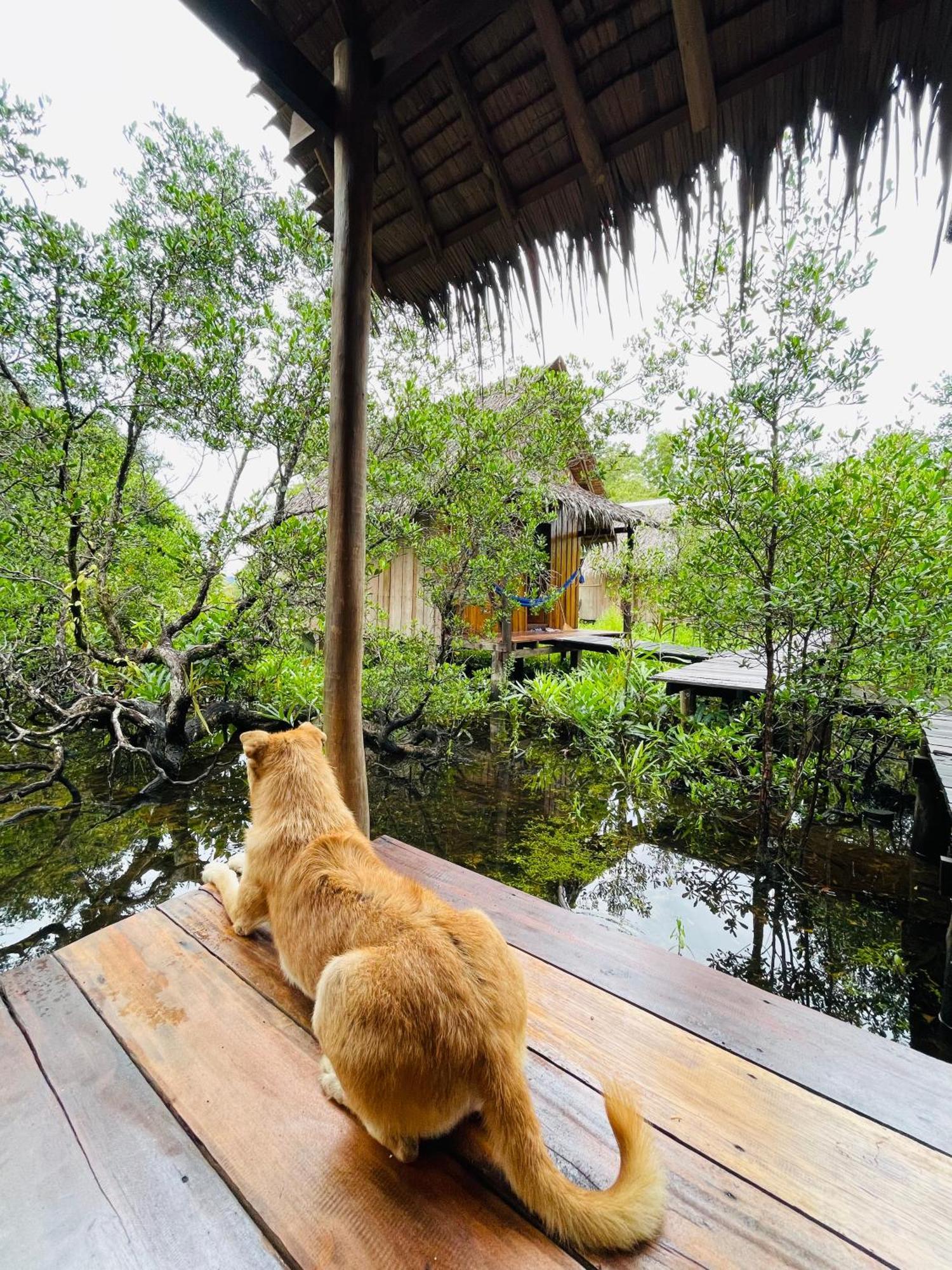 Lily'S Riverhouse Prek Svay Village Luaran gambar