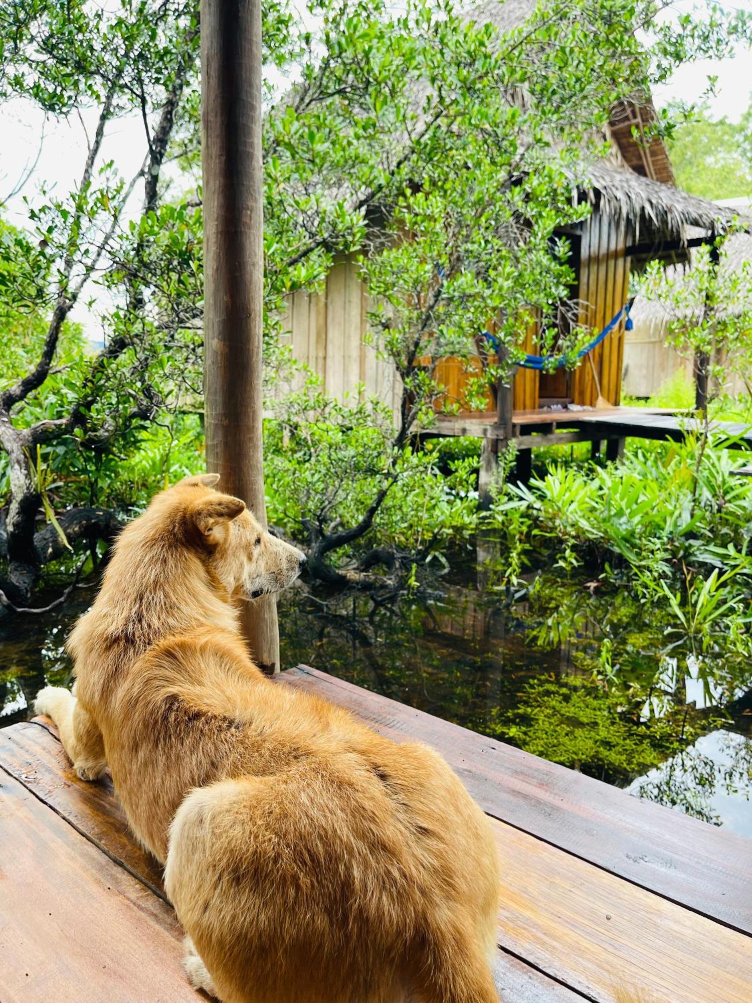 Lily'S Riverhouse Prek Svay Village Luaran gambar